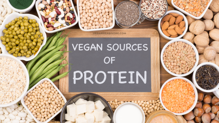 Best Plant-based Protein Sources for Vegans